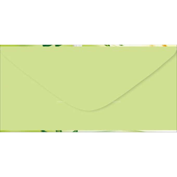 Конверт для денег "Без надписи"