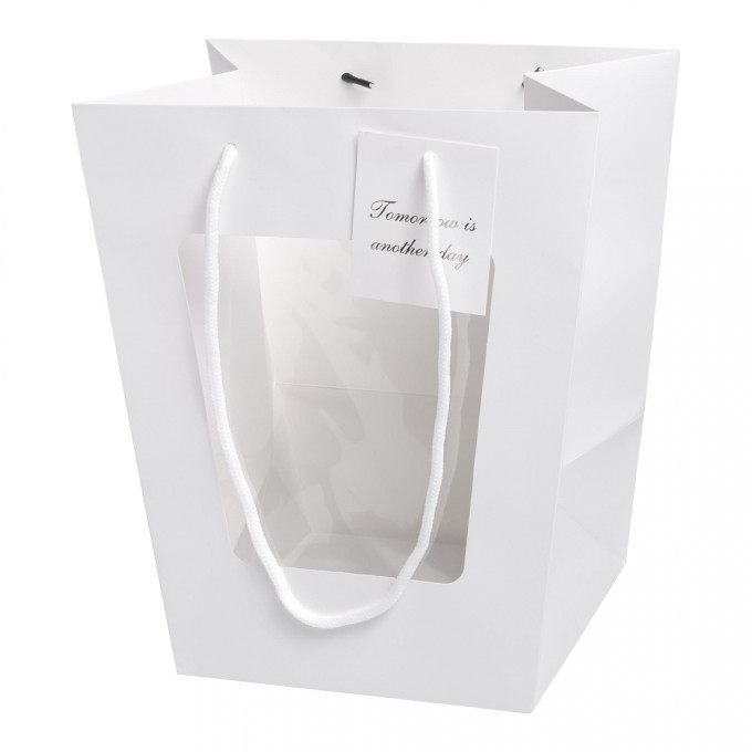 Пакет подарочный с окном 28*25*18см БЕЛЫЙ