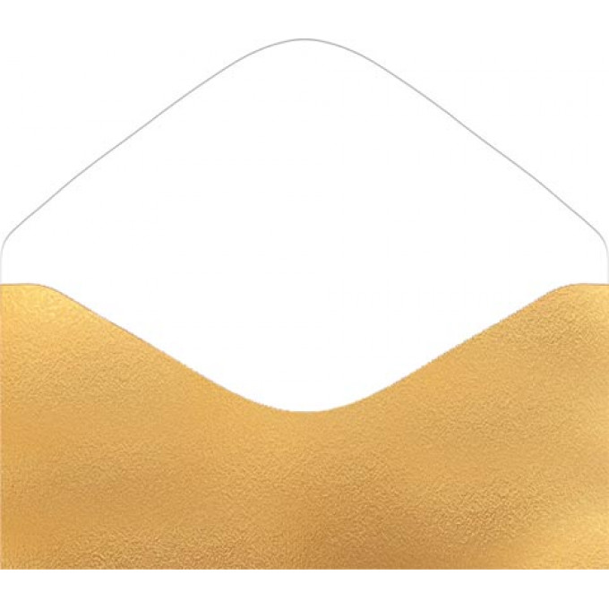 Конверт для денег Без надписи