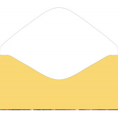 Конверт для денег Без надписи