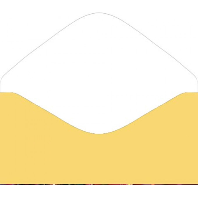 Конверт для денег Без надписи
