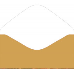 Конверт для денег Без надписи