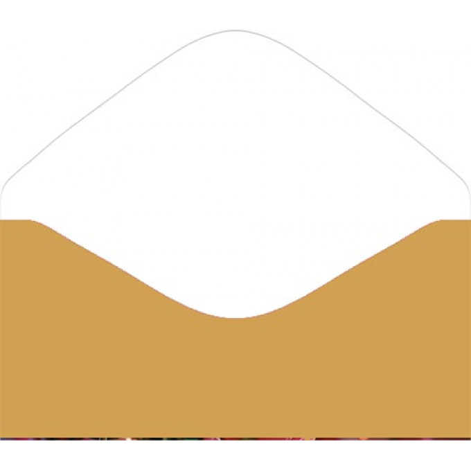 Конверт для денег Без надписи