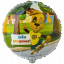 Воздушный шар фольгированный с рисунком 18" Круг С Днем Рождения! Барбоскины Дружок 46 см