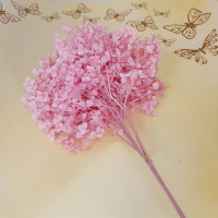 Сухоцвет Гортензия Нежно-розовый 1 шт