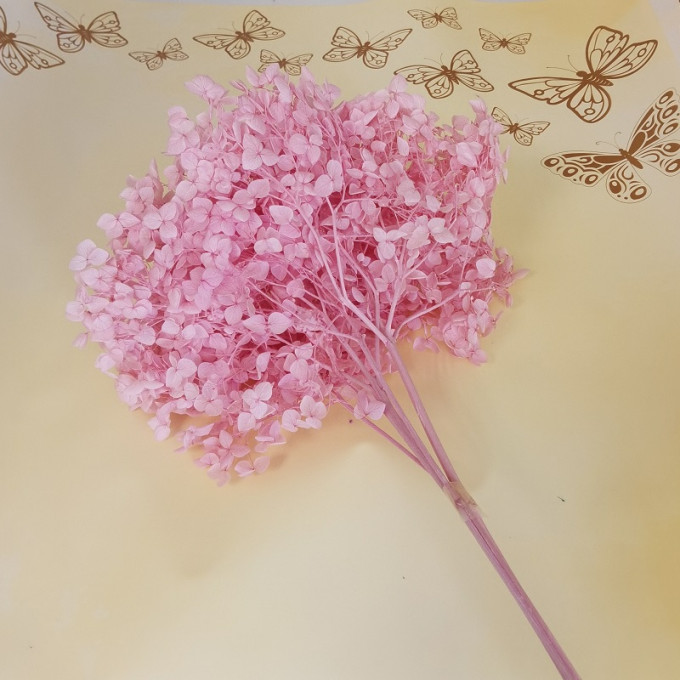 Сухоцвет Гортензия Нежно-розовый 1 шт