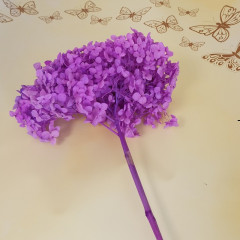 Сухоцвет Гортензия Орхидея 1 шт