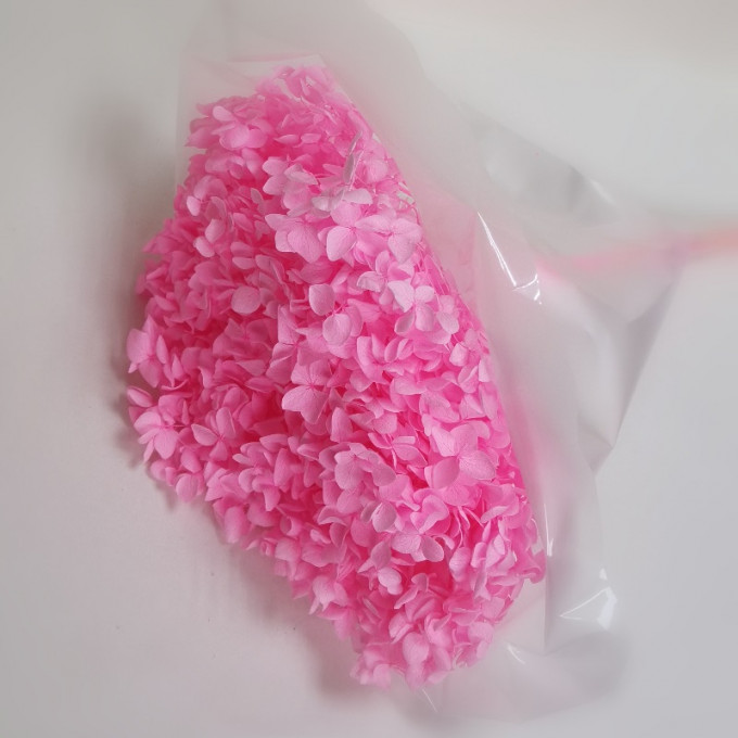 Сухоцвет Гортензия Розовый  1 шт