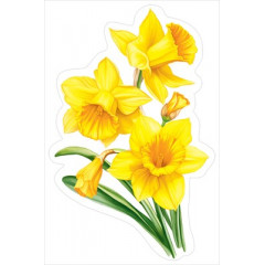 Украшение на скотче "Нарциссы"