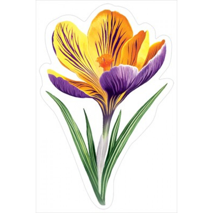 Украшение на скотче "Крокус жёлто-синий"