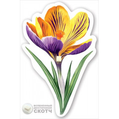 Украшение на скотче "Крокус жёлто-синий"
