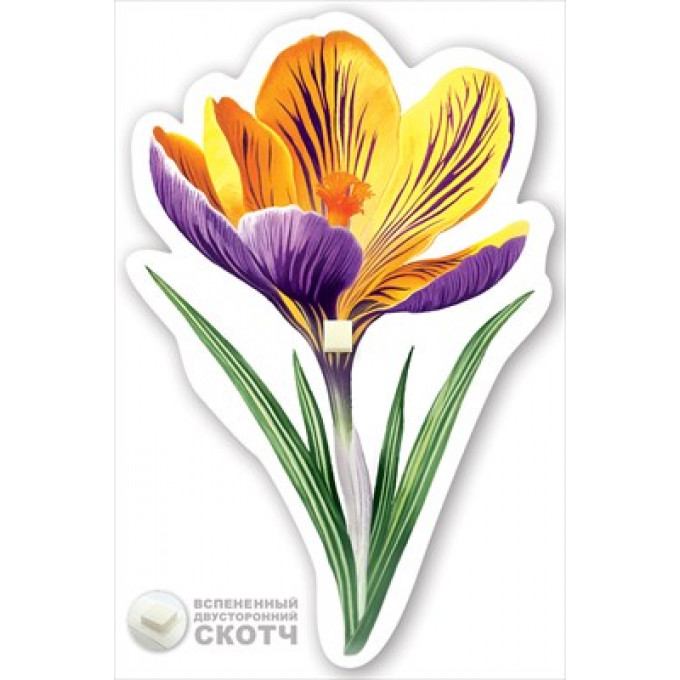 Украшение на скотче "Крокус жёлто-синий"
