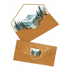 Конверт для денег без текста