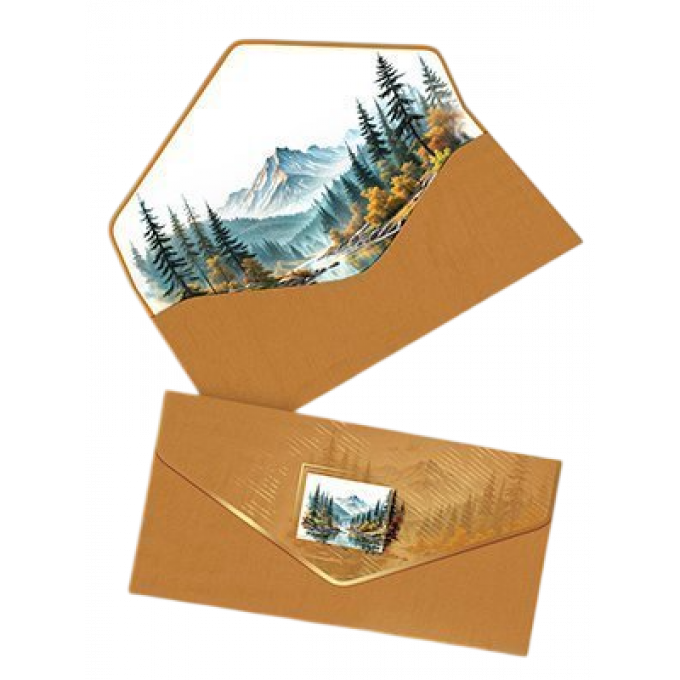 Конверт для денег без текста