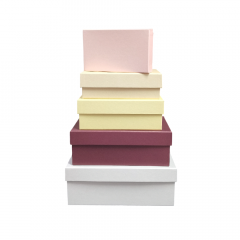 Набор подарочных коробок из 10 шт ПРЯМОУГОЛЬНИК 32,5*20*12,5/12*7*4 см АССОРТИ РОЗОВЫЙ ЩЕРБЕТ