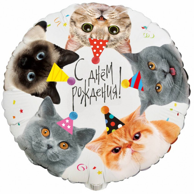 Воздушный шар фольгированный с рисунком 18"/45 см Круг С Днем Рождения! котики фотографичные