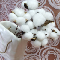 Сухоцвет Хлопок 10шт в 1 букете БЕЛЫЙ