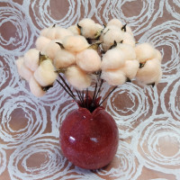 Сухоцвет Хлопок 10шт в 1 букете ПЕРСИКОВЫЙ