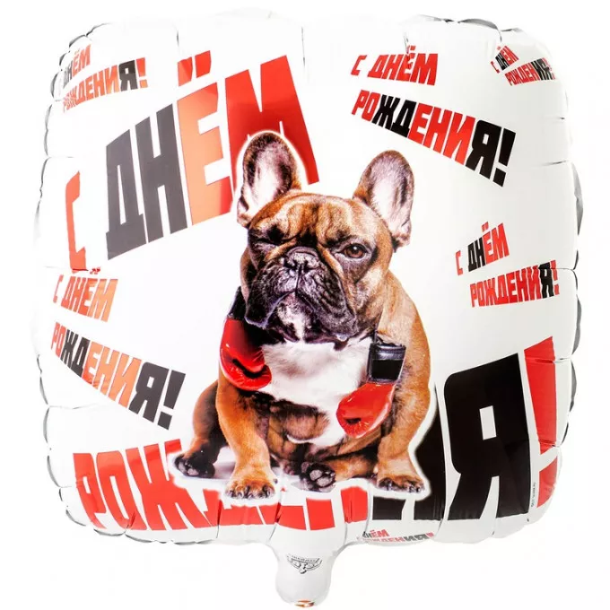 Воздушный шар фольгированный с рисунком 18" Квадрат с Днем рождения! боксёр