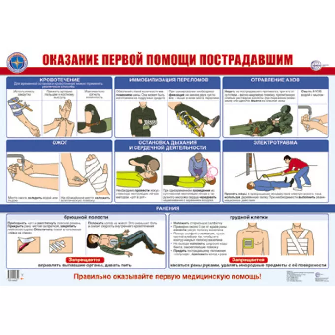 Плакат А2 Оказание первой помощи пострадавшим