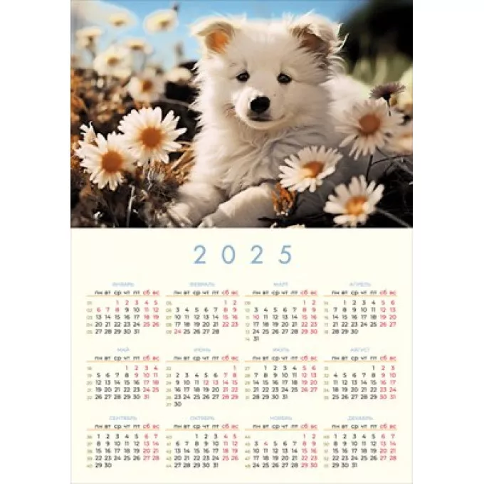 Календарь на 2025 год  Пёсик в ромашках
