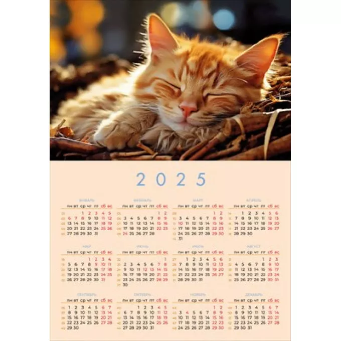Календарь на 2025 год  Рыжий котёнок